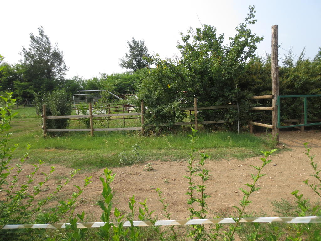 Agriturismo Parco Del Chiese Bedizzole Bagian luar foto