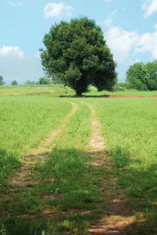 Agriturismo Parco Del Chiese Bedizzole Bagian luar foto