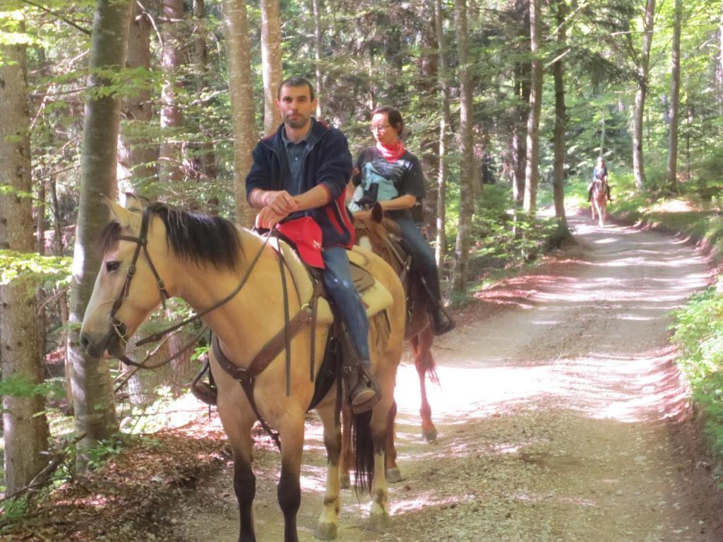 Agriturismo Parco Del Chiese Bedizzole Bagian luar foto